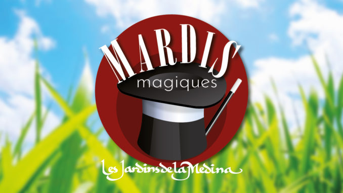 Mardis-magiques-Jardins de la Medina Mardis magicien diner jardins de le medina restaurant marrakech