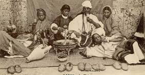 La Culture du thé au Maroc
