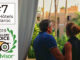 Travellers Choice 2019 Maroc Les jardins de la Medina