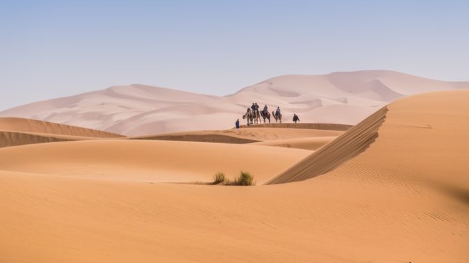desert morocco marrakesh