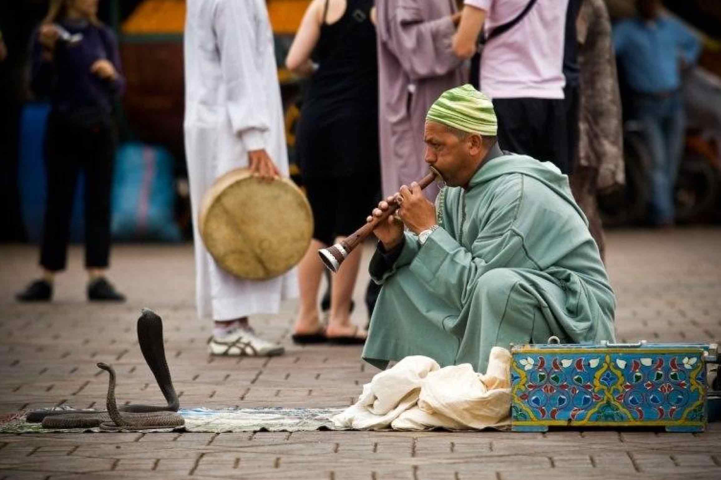 serpent-jamaa-el-fnaa-marrakech