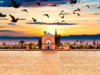 repise de l'activité touristique Marrakech