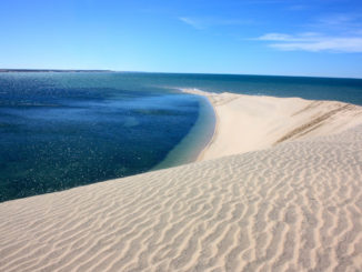 sahara occidental dakhla