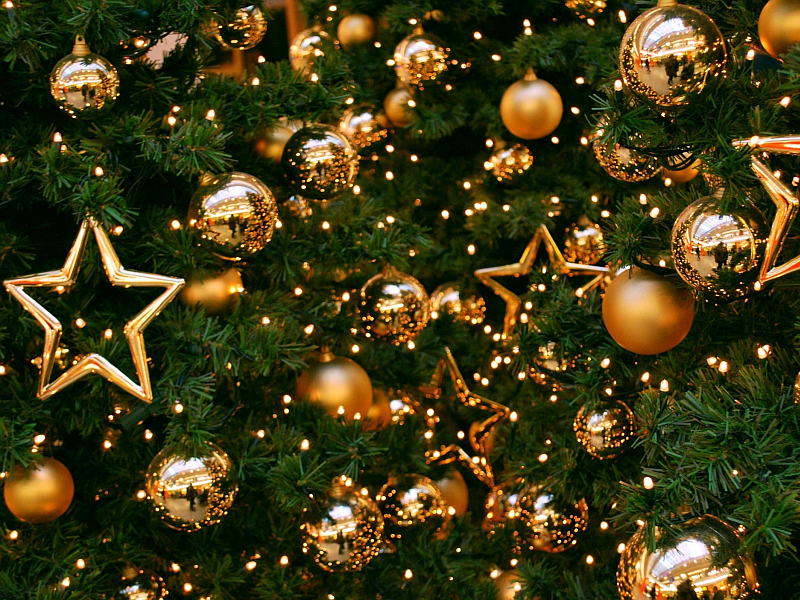 Christmas In La 2022 Christmas And New Year 2021-2022 At Les Jardins De La Medina | Marrakech
